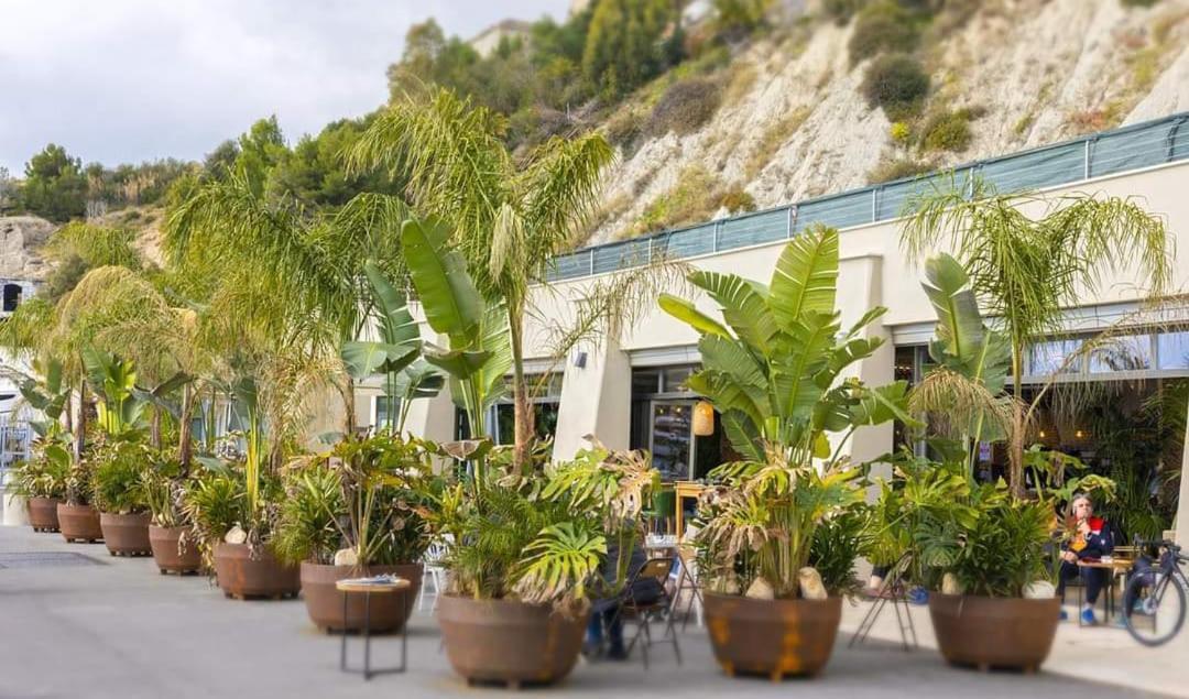 Casa Dolce Vita Ventimiglia Dış mekan fotoğraf